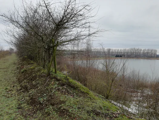 Plains of Zwijndrecht, Antwerp (Belgium)